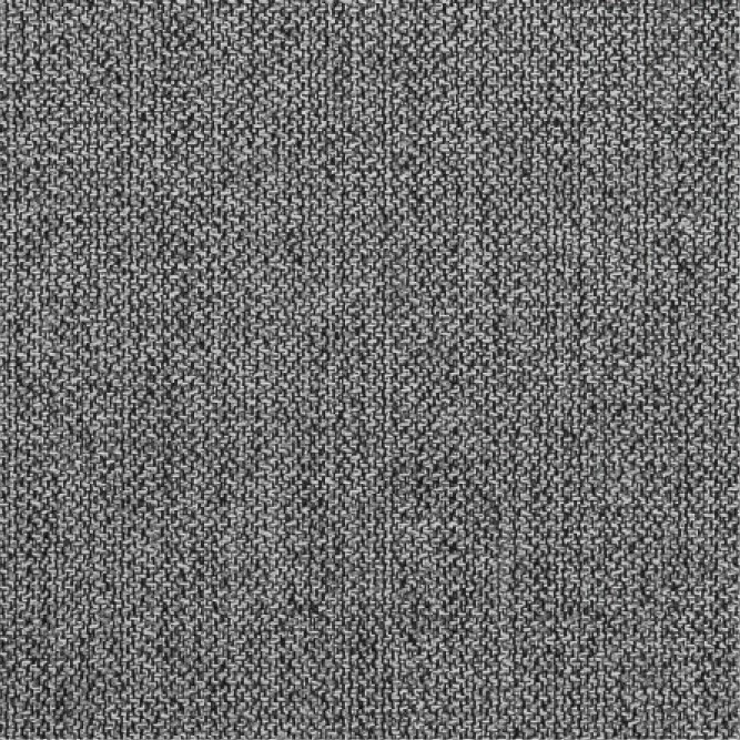 Coast 2391 Grey