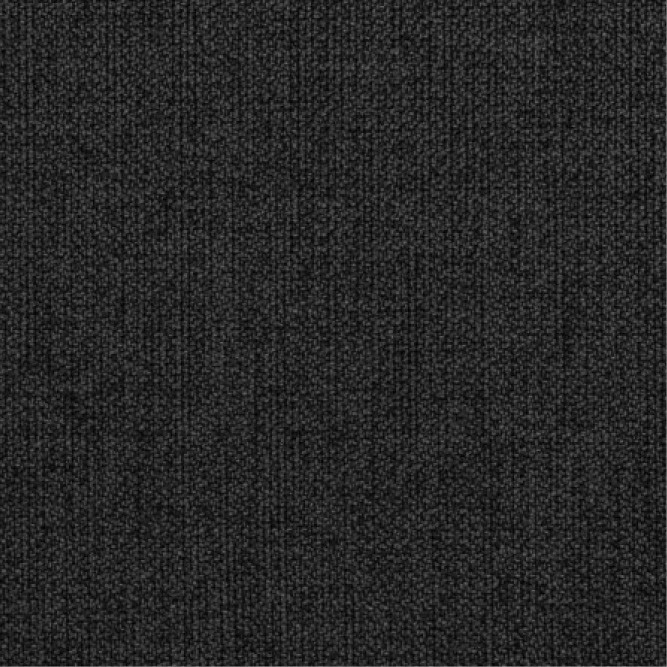 Coast 2392 Anthracite